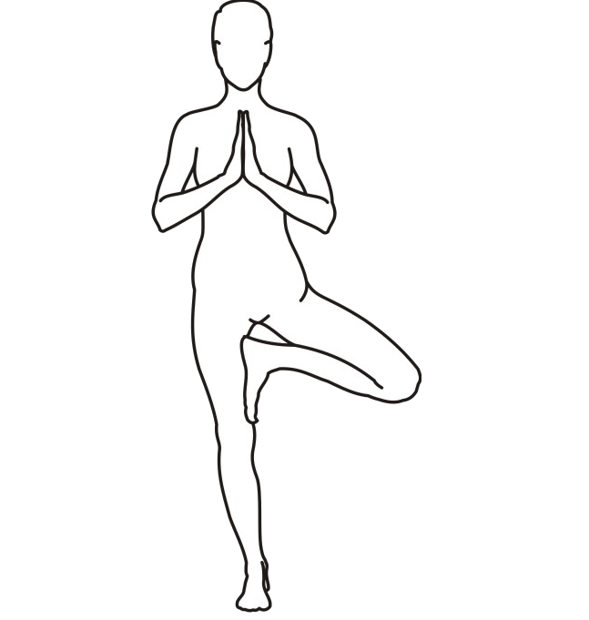 Vrksasana